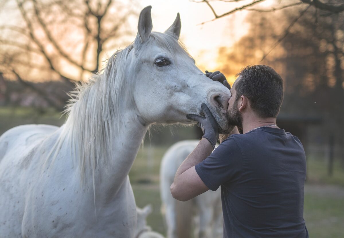 homme qui embrasse un cheval