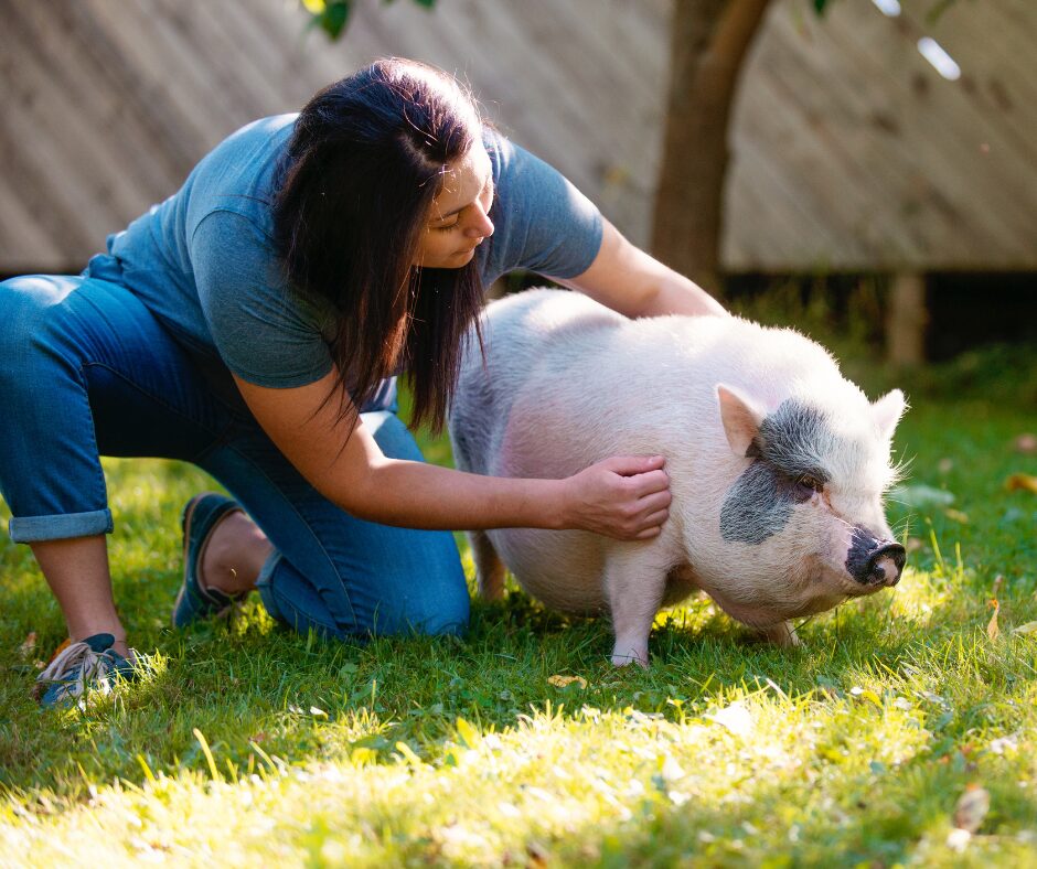 cochon et femme dans jardin
