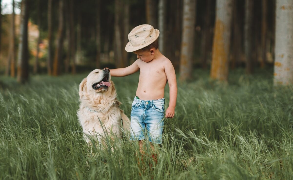 petit garcon avec labrador