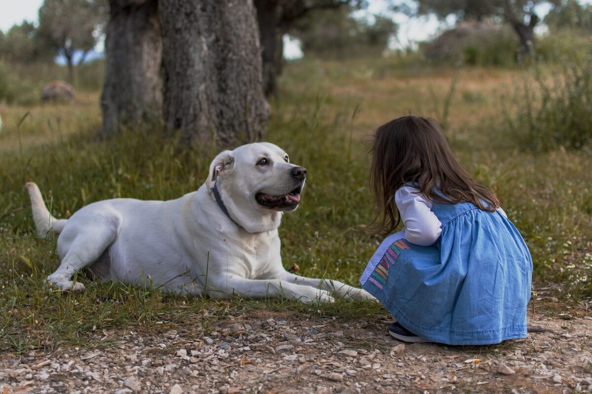 klein meisje met labrador