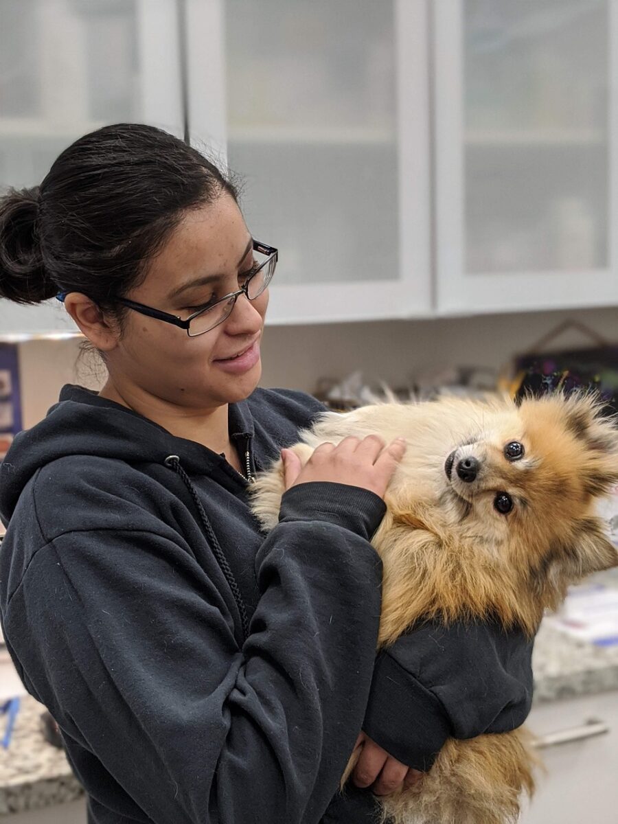 veterinaire avec chien dans les bras