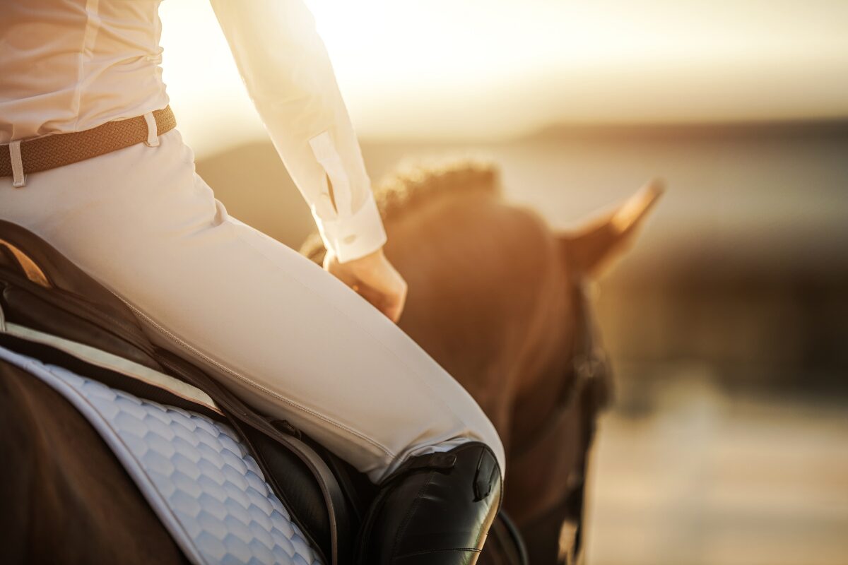 ruiter op paard zadel