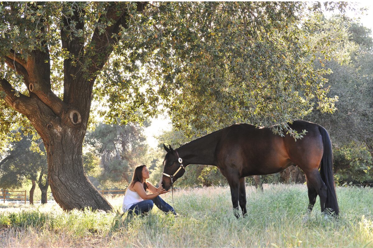 paard en vrouw