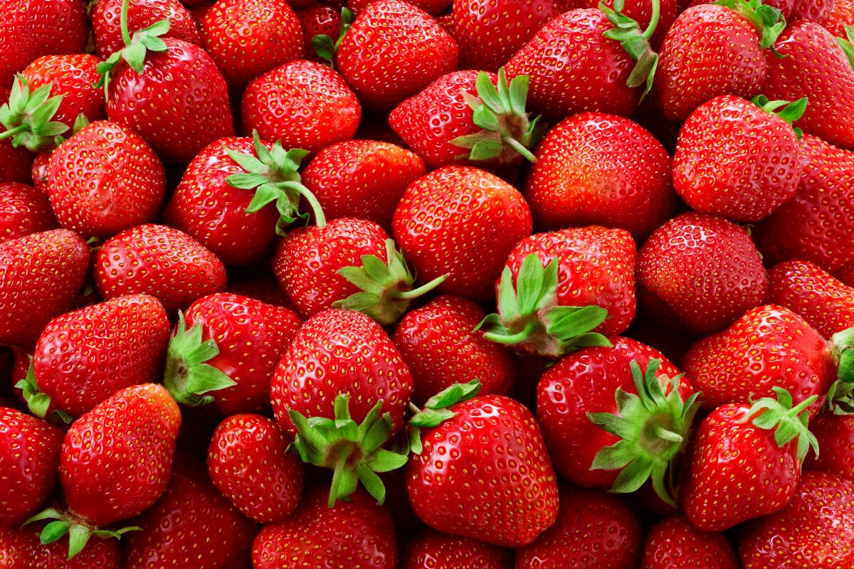 fraises etalees