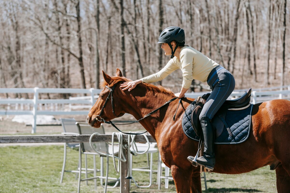 springsport