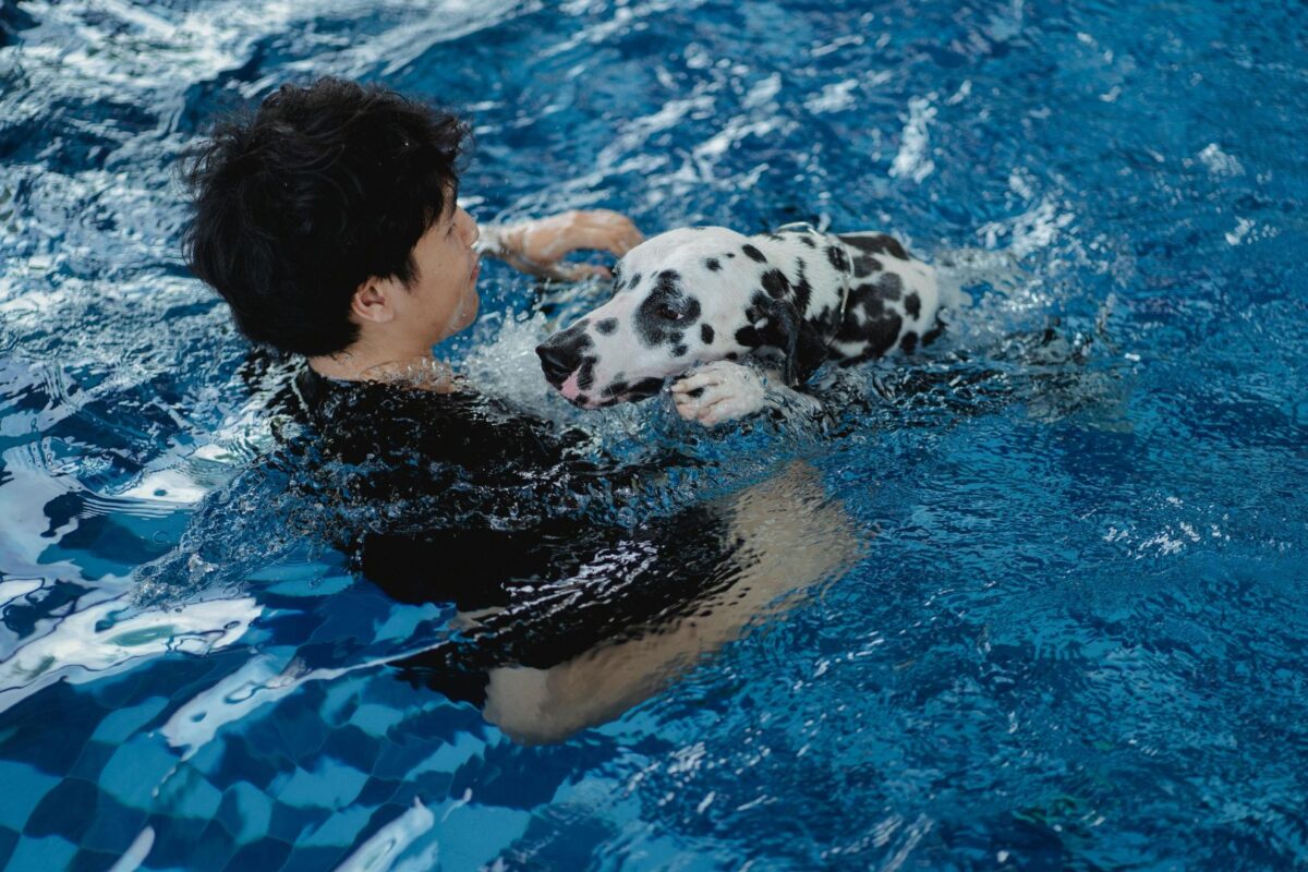 chien reeducation