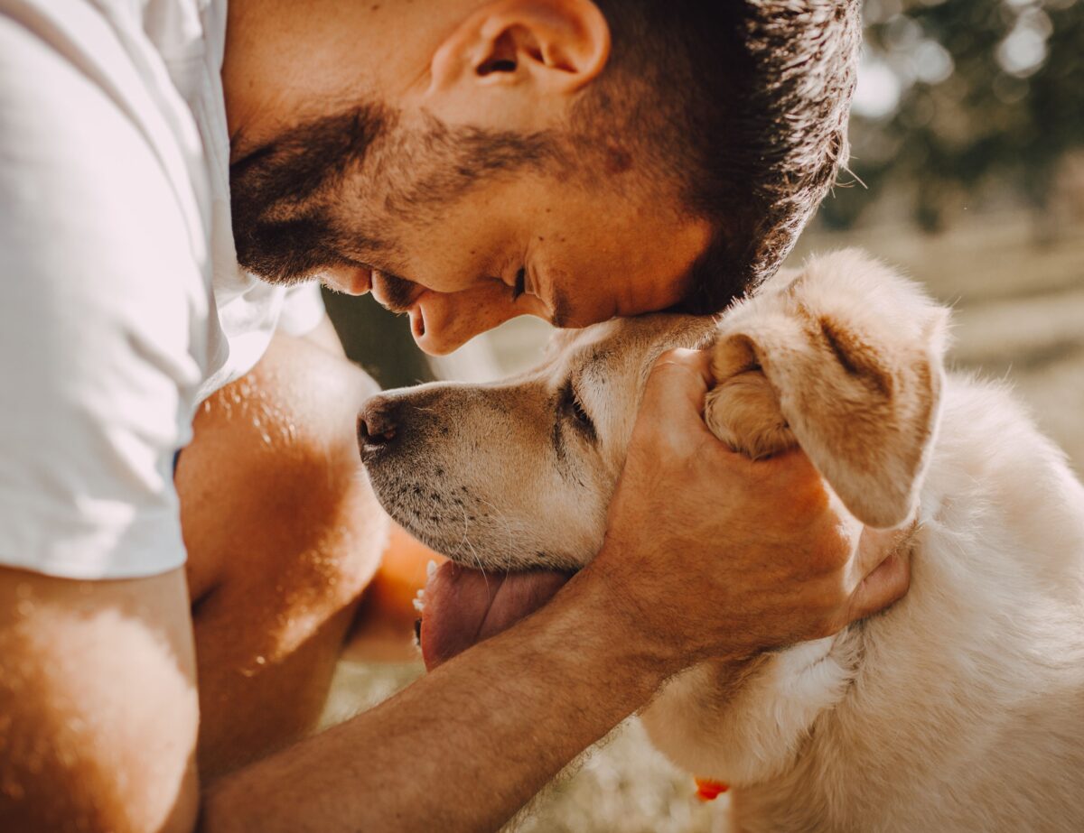 homme et chien ensemble